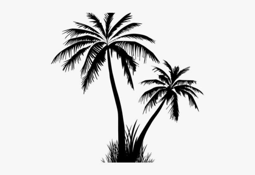 Detail Coconut Tree Vector Free Download Nomer 4
