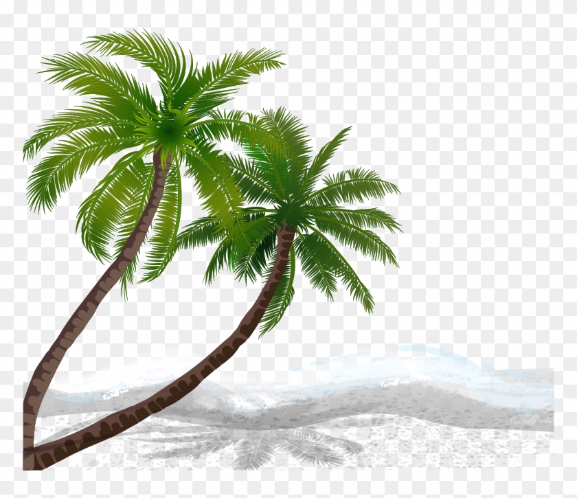 Detail Coconut Tree Vector Free Download Nomer 36