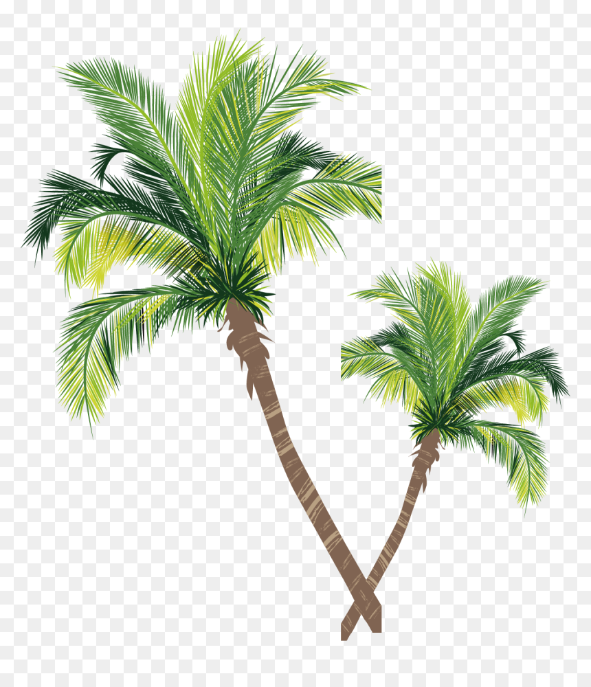 Detail Coconut Tree Vector Free Download Nomer 6