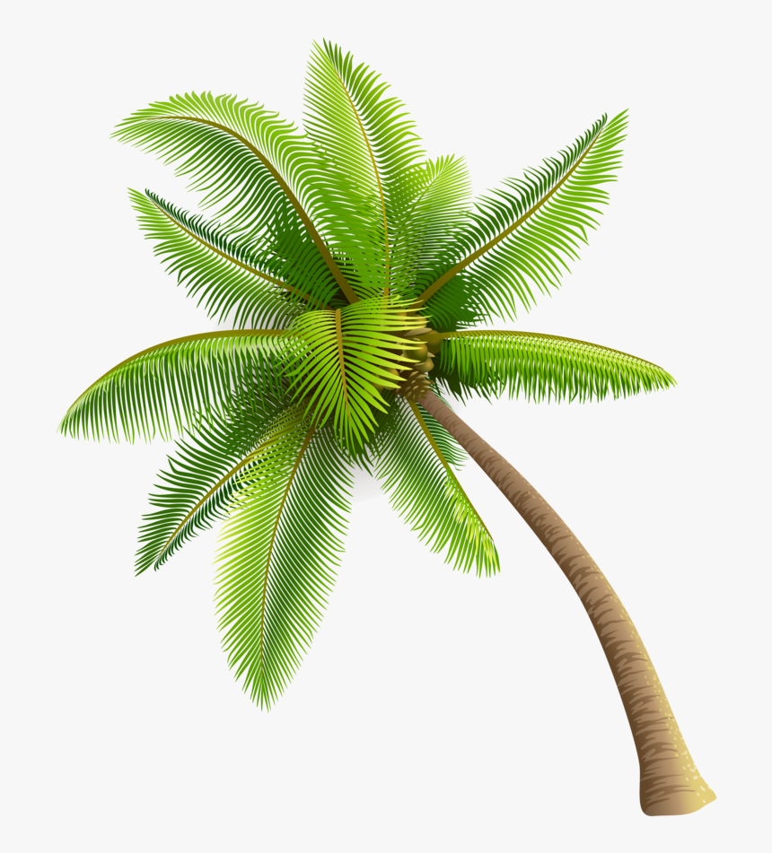 Detail Coconut Tree Vector Free Download Nomer 49