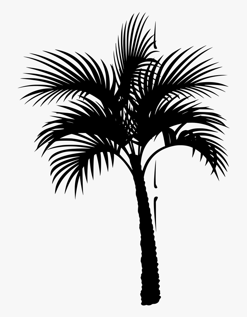 Detail Coconut Tree Vector Free Download Nomer 55