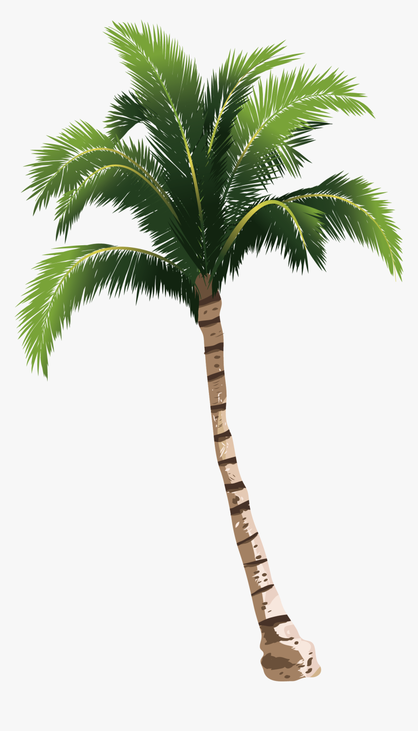 Detail Coconut Trees Png Nomer 40