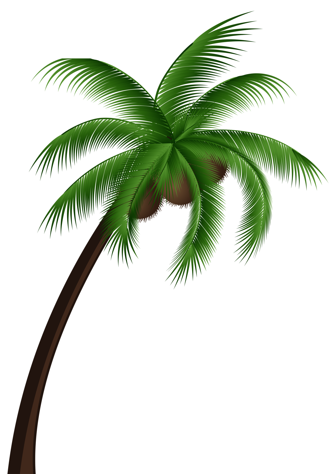 Detail Coconut Trees Png Nomer 8