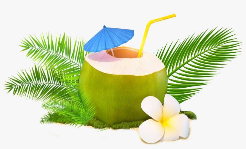 Detail Coconut Water Png Nomer 2