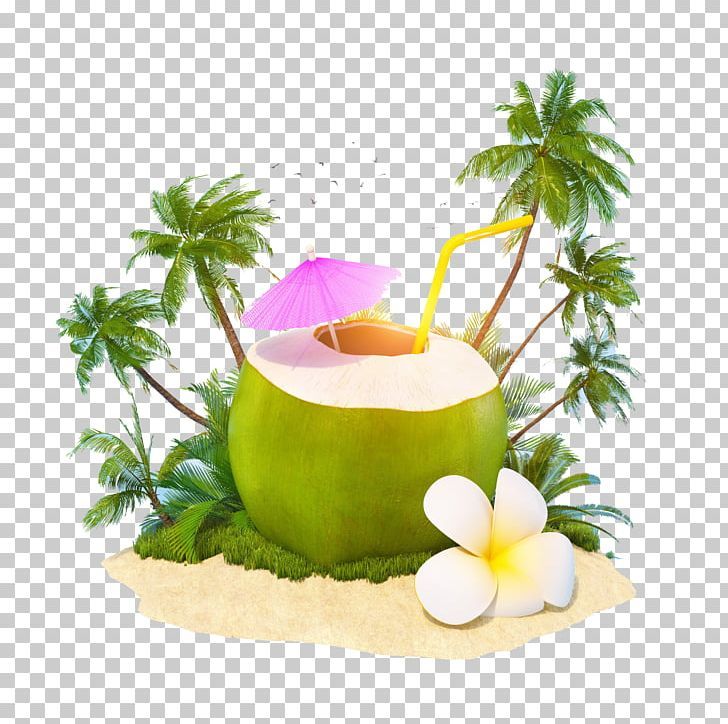 Detail Coconut Water Png Nomer 13