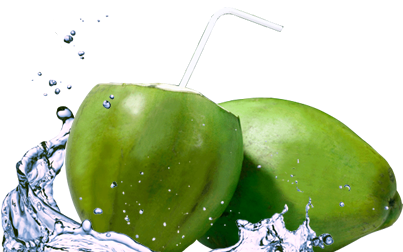 Detail Coconut Water Png Nomer 14