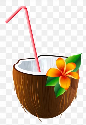 Detail Coconut Water Png Nomer 20