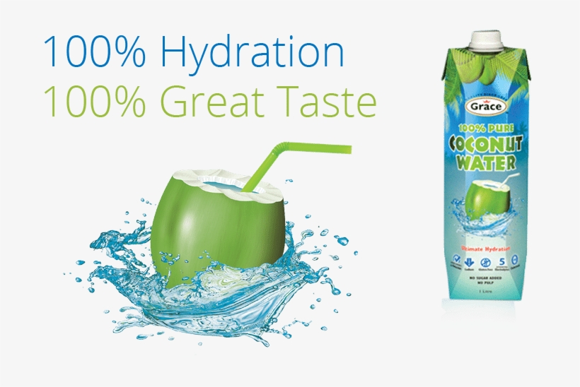 Detail Coconut Water Png Nomer 26