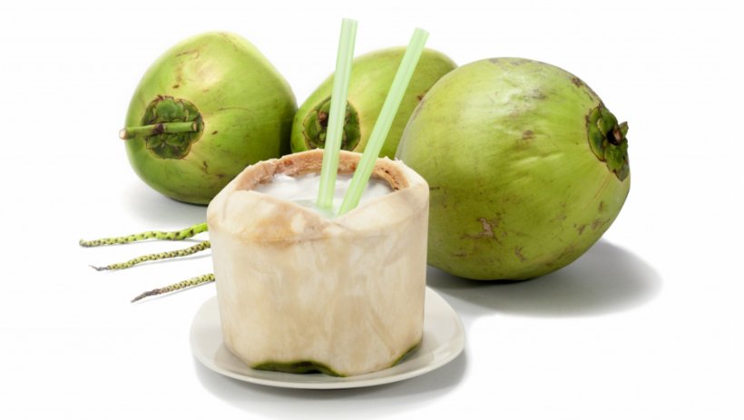 Detail Coconut Water Png Nomer 54