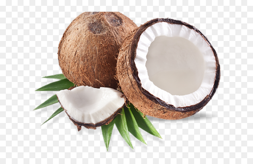 Detail Coconuts Png Nomer 13