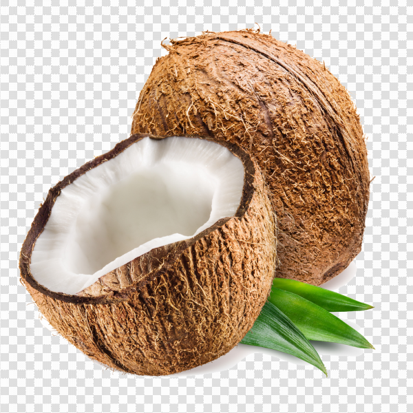 Detail Coconuts Png Nomer 17