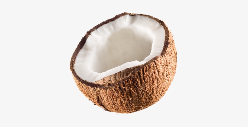 Detail Coconuts Png Nomer 18