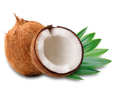 Detail Coconuts Png Nomer 19