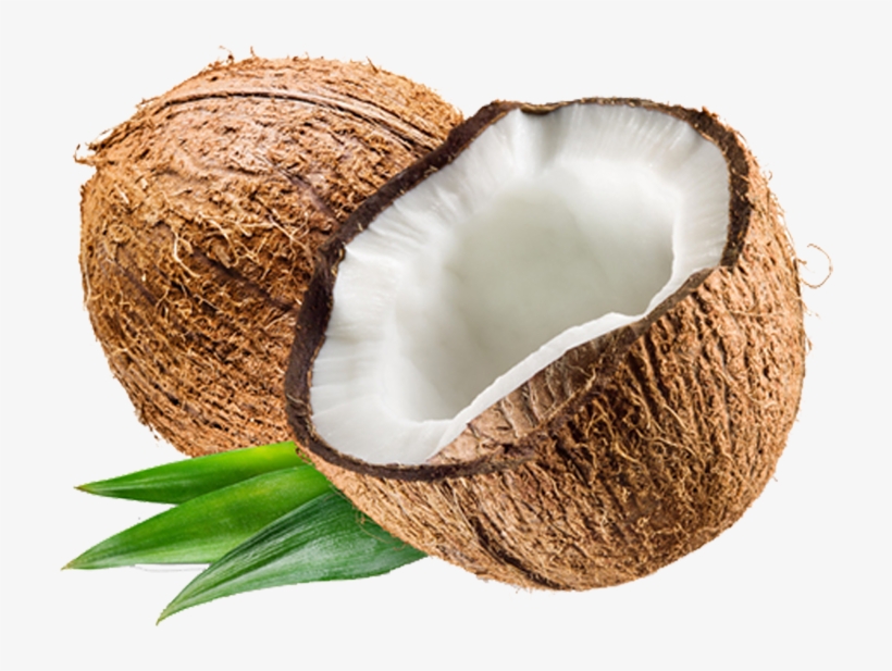 Download Coconuts Png Nomer 21