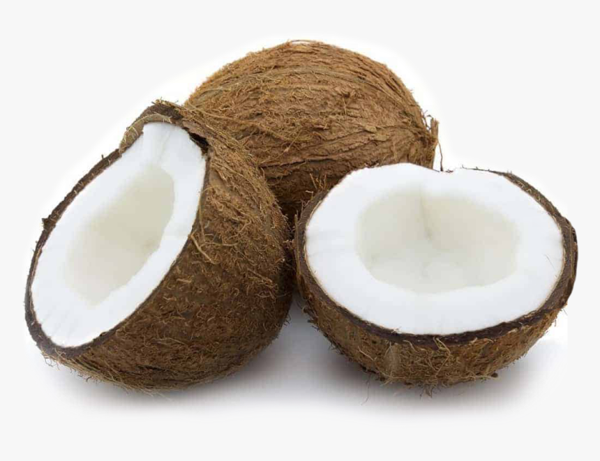 Detail Coconuts Png Nomer 22