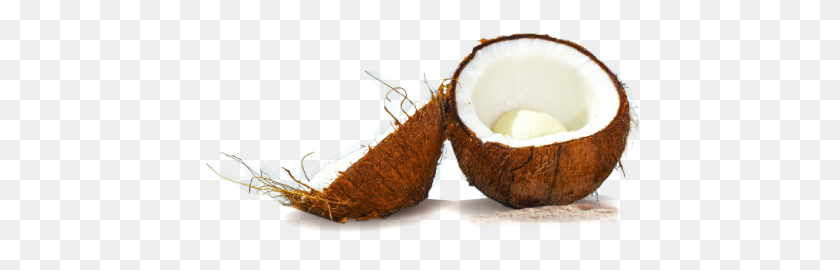 Detail Coconuts Png Nomer 32