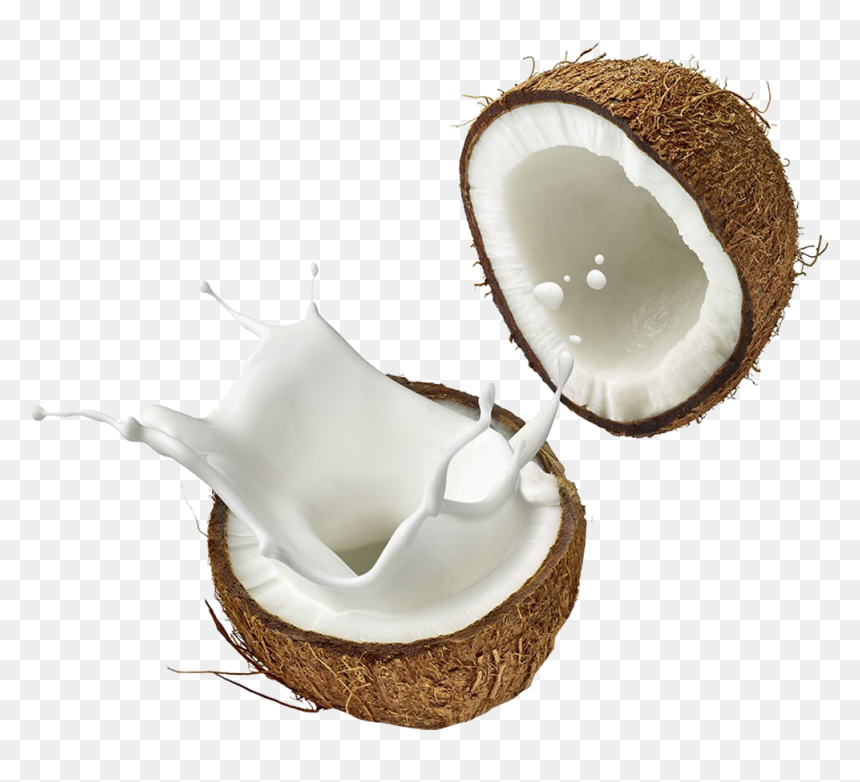 Detail Coconuts Png Nomer 42