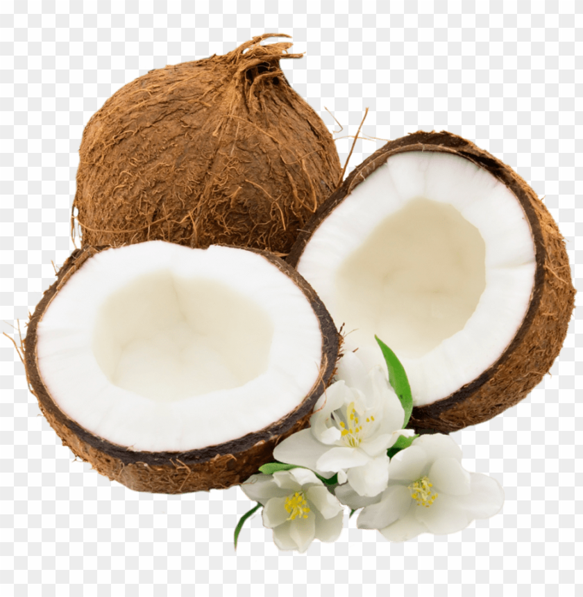 Detail Coconuts Png Nomer 8