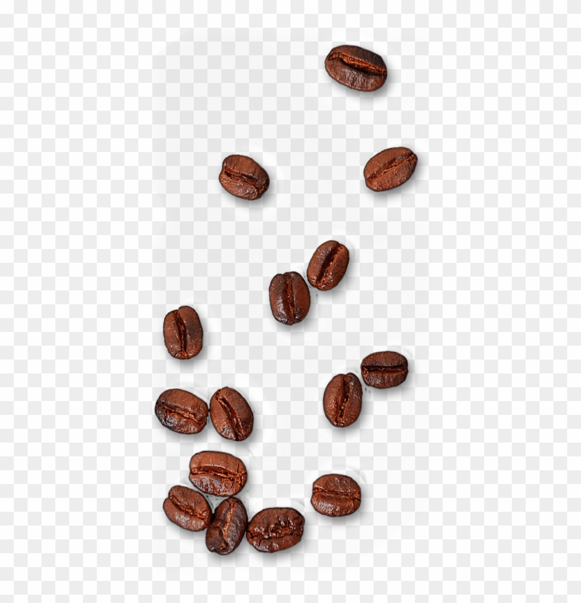 Detail Coffe Bean Png Nomer 11