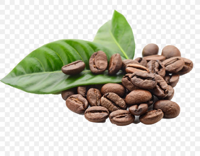 Detail Coffe Bean Png Nomer 33