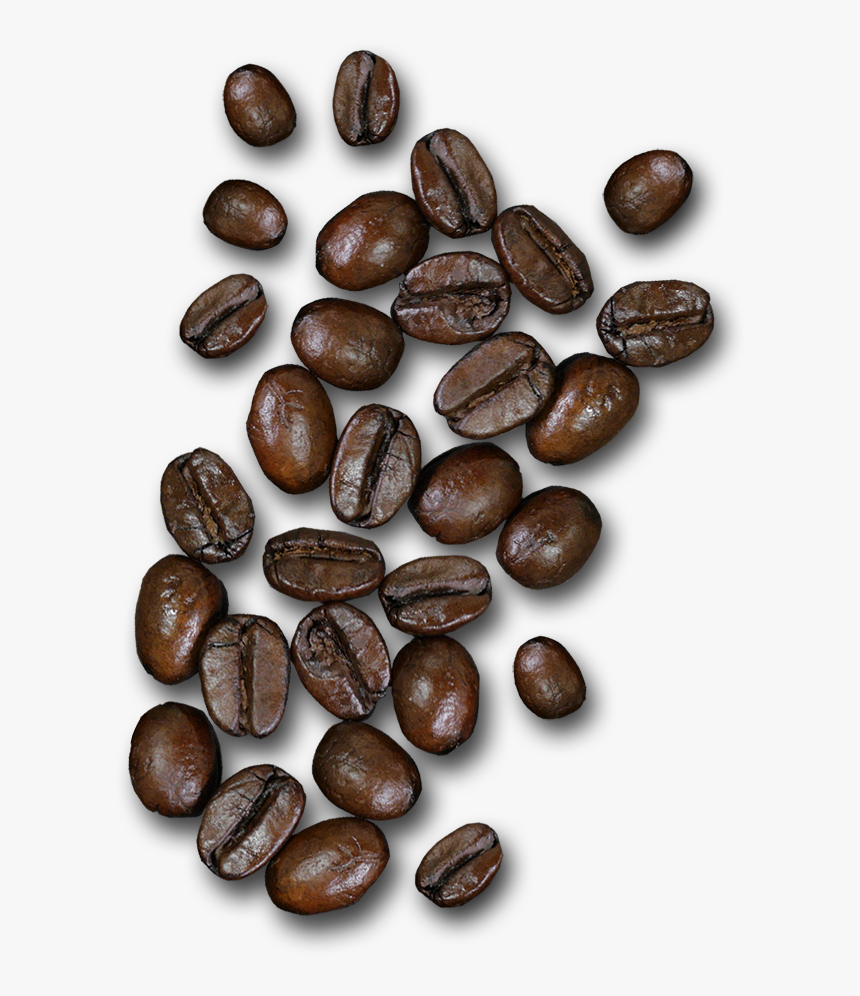 Detail Coffe Bean Png Nomer 35