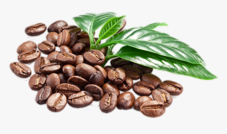 Detail Coffee Background Png Nomer 34