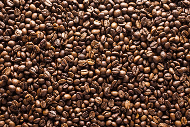 Detail Coffee Bean Background Nomer 35