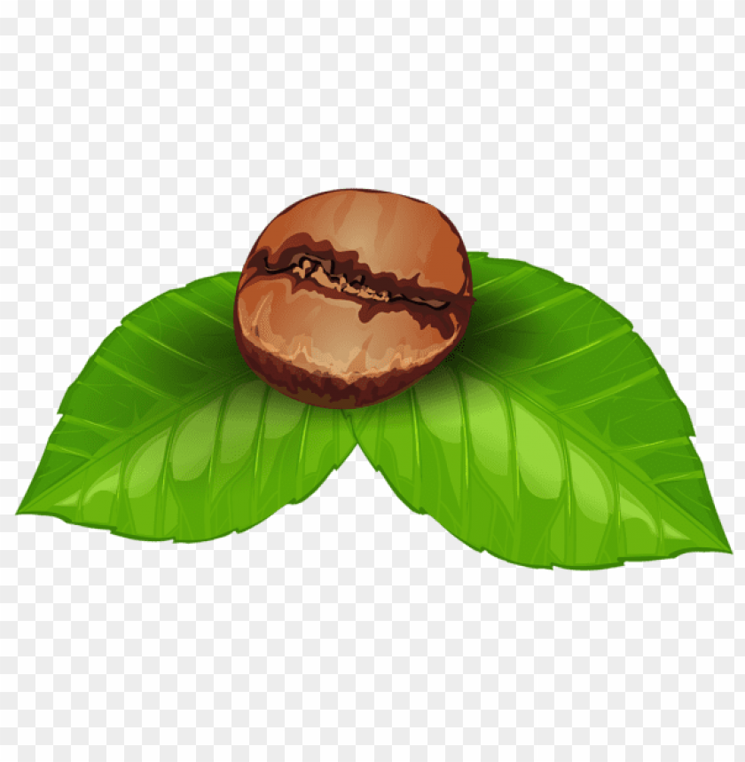 Detail Coffee Bean Clip Art Free Nomer 21