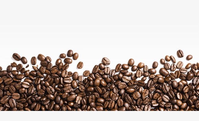 Detail Coffee Bean Clipart Free Nomer 11