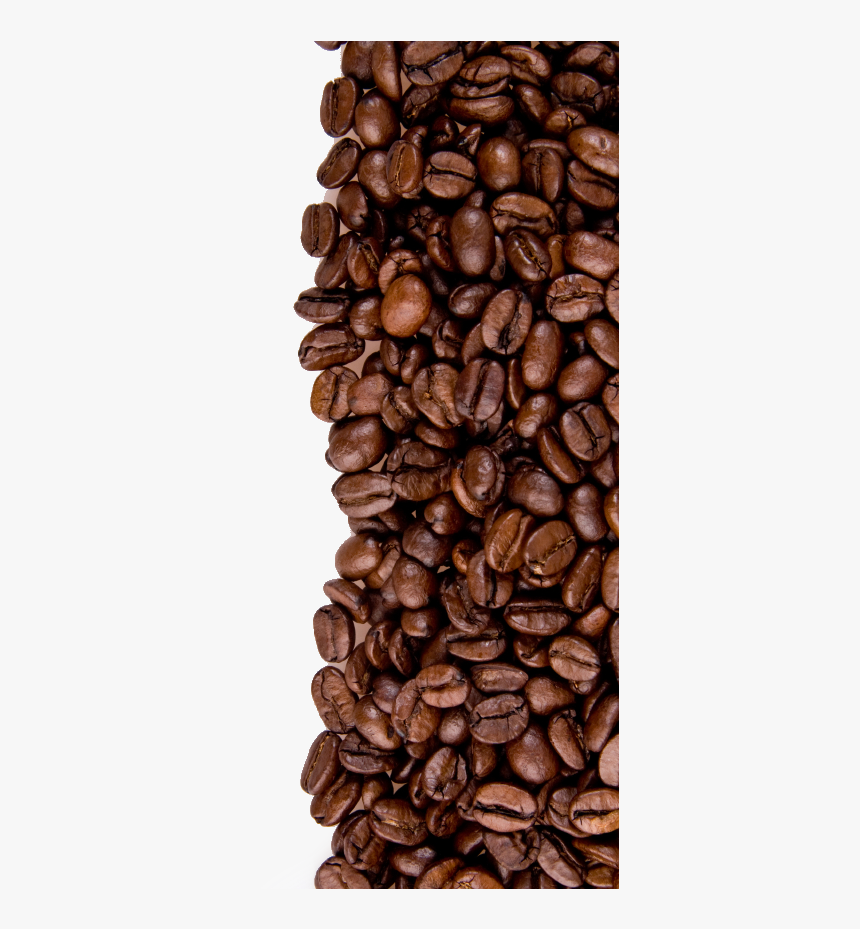 Detail Coffee Bean Clipart Free Nomer 31