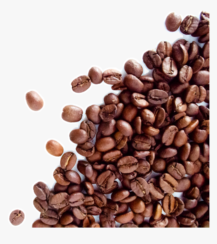 Detail Coffee Bean Hd Nomer 27