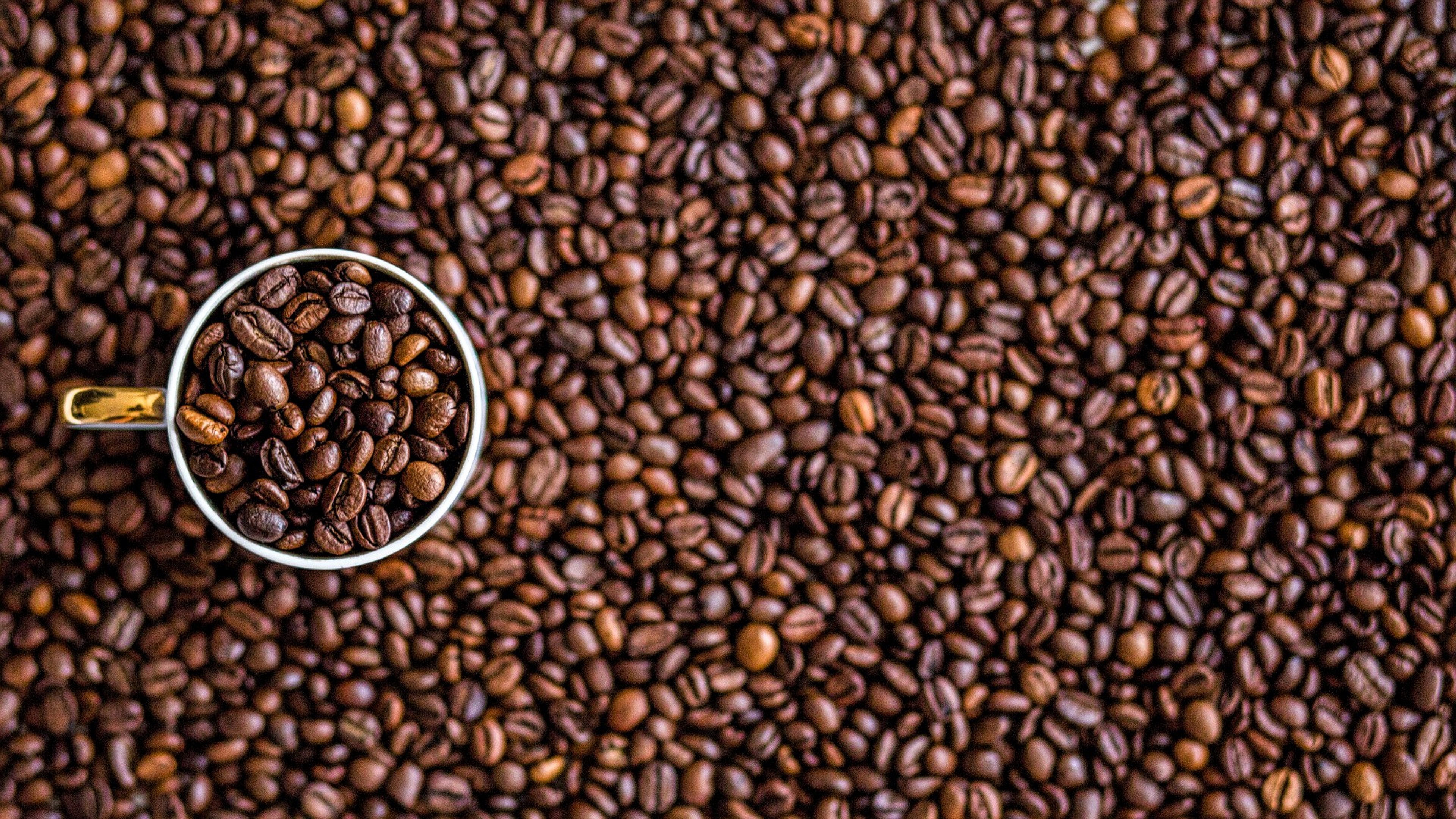 Detail Coffee Bean Hd Nomer 34