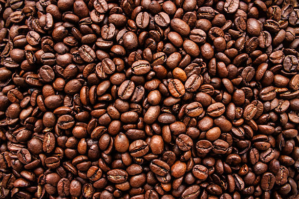 Detail Coffee Bean Images Nomer 30