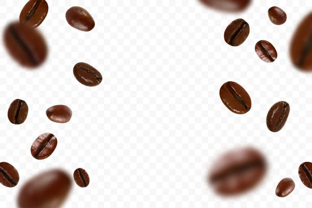 Detail Coffee Bean Images Nomer 39