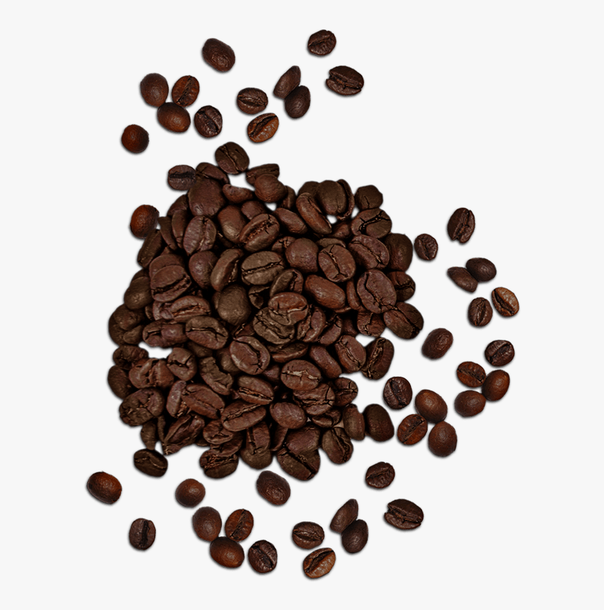 Detail Coffee Bean Png Nomer 21