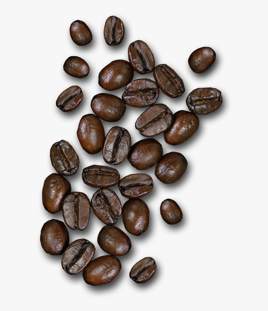 Detail Coffee Bean Png Nomer 22