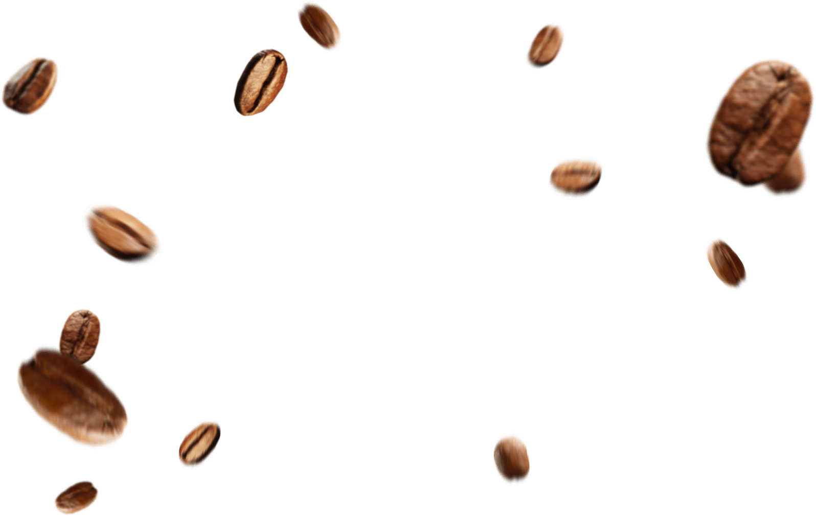 Detail Coffee Bean Png Nomer 27