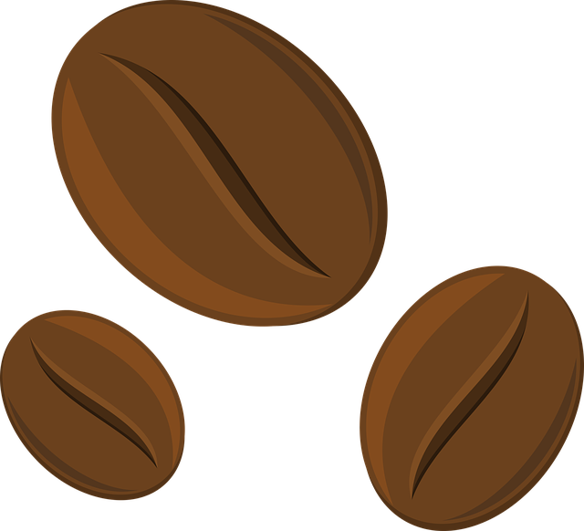 Detail Coffee Bean Png Nomer 50