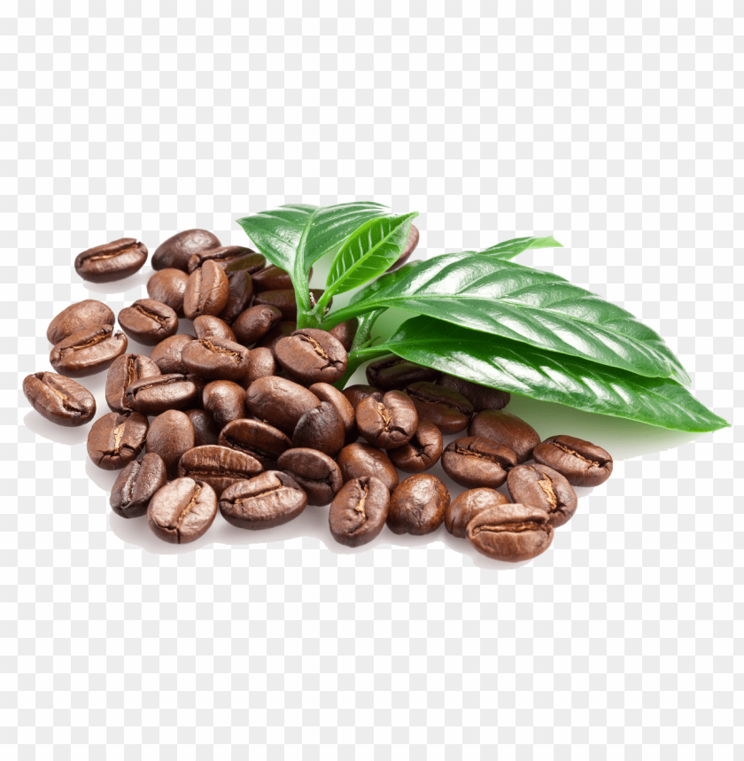 Detail Coffee Bean Png Nomer 7