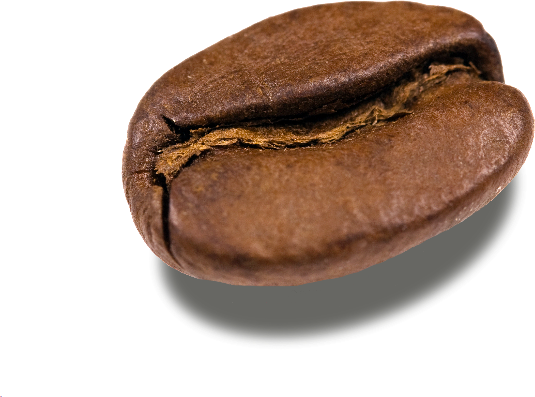 Detail Coffee Bean Transparent Nomer 13