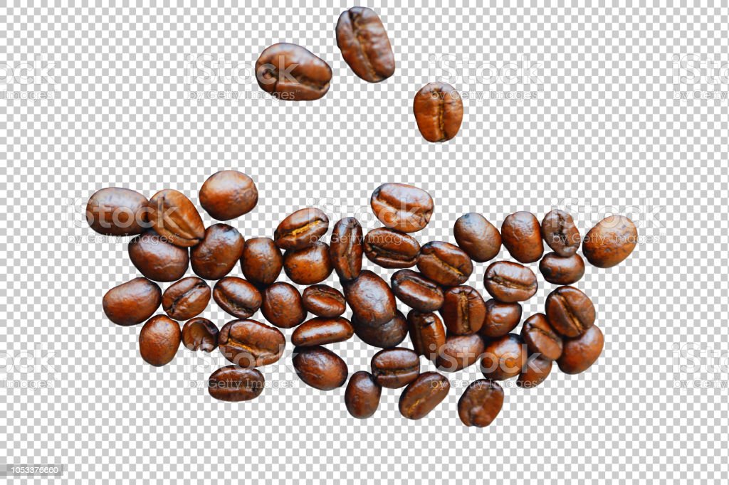 Detail Coffee Bean Transparent Nomer 15