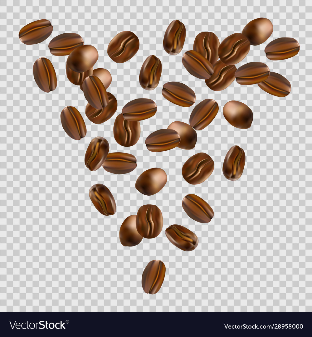 Detail Coffee Bean Transparent Nomer 20