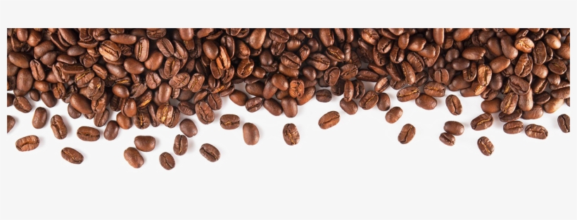 Detail Coffee Bean Transparent Nomer 26