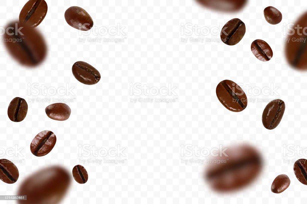 Detail Coffee Bean Transparent Nomer 35
