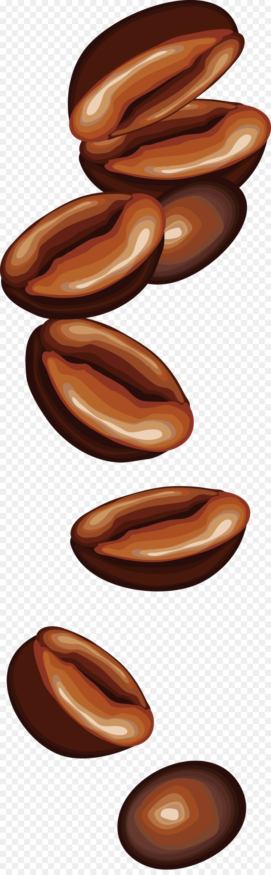 Detail Coffee Bean Transparent Nomer 39