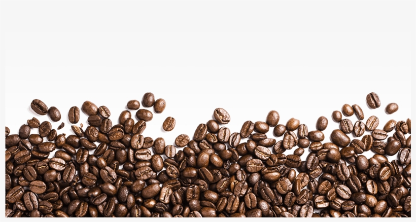 Detail Coffee Bean Transparent Nomer 6