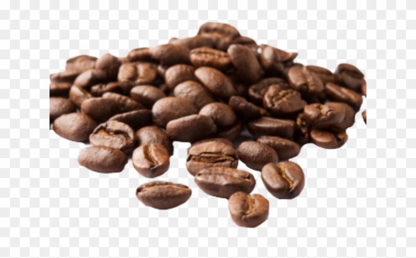 Detail Coffee Bean Transparent Background Nomer 11