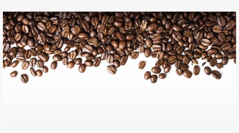 Detail Coffee Bean Transparent Background Nomer 14