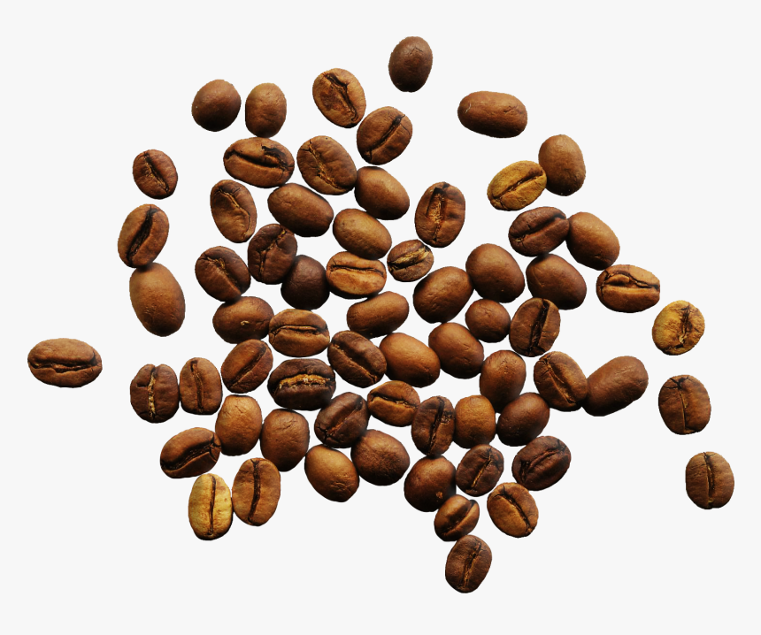 Detail Coffee Bean Transparent Background Nomer 16