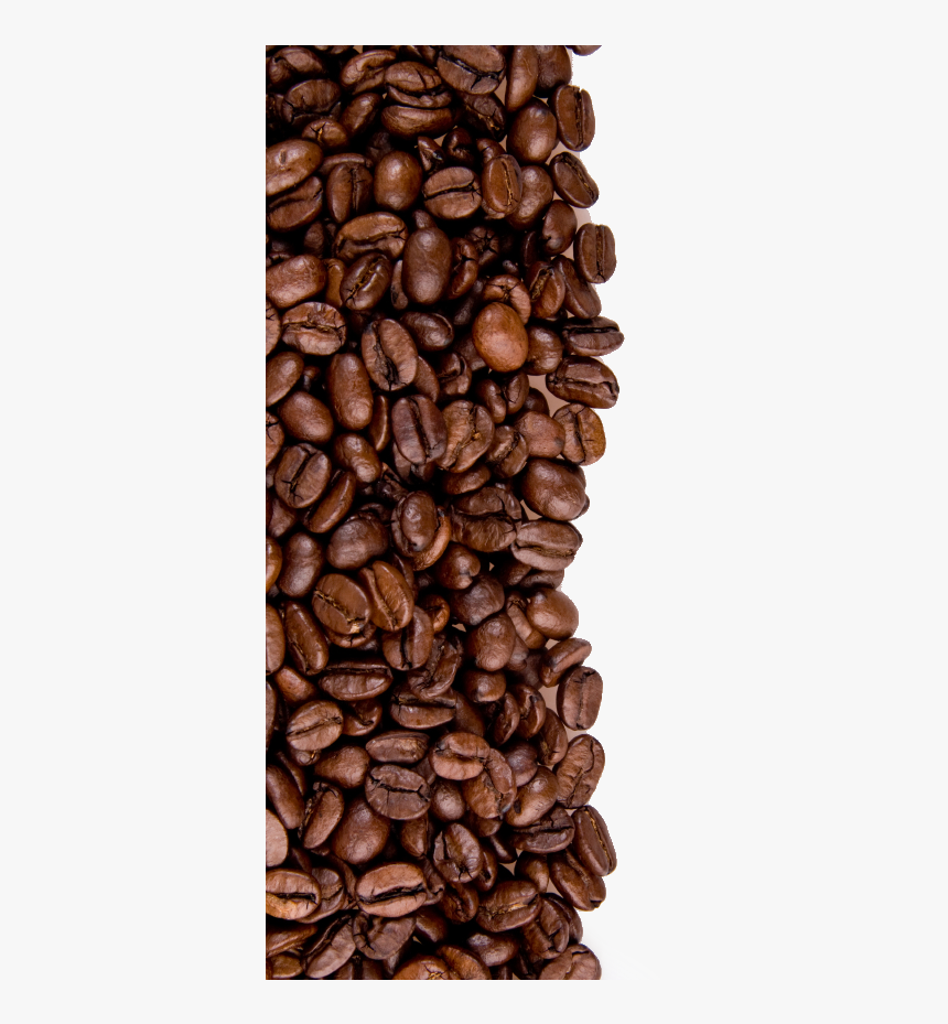Detail Coffee Bean Transparent Background Nomer 20